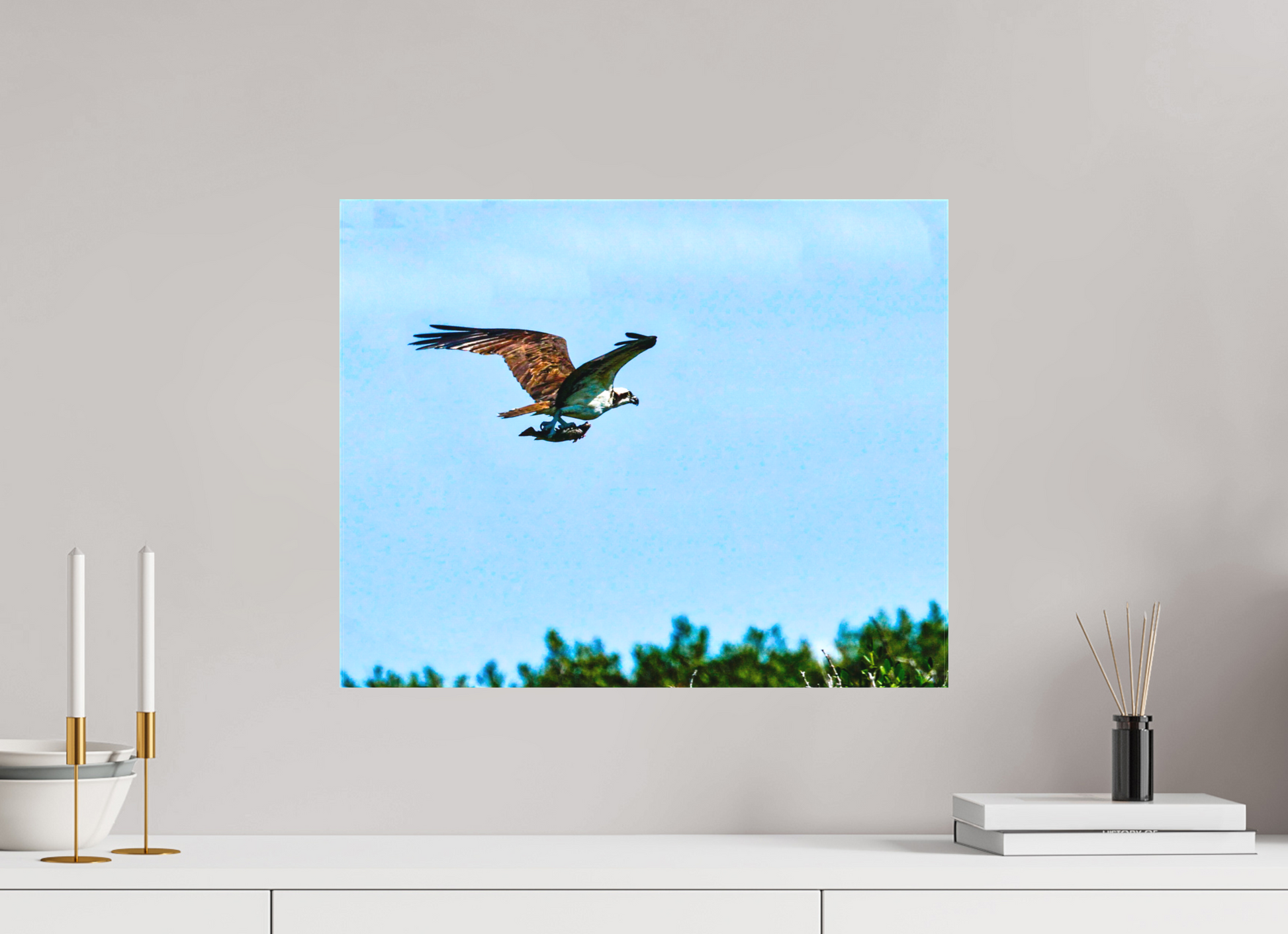 20 x 16″, LAGUNA Canvas Gallery Wrap 1.57in The Carry — Collection 07, Wildlife of the Bay Handle: the-carry
