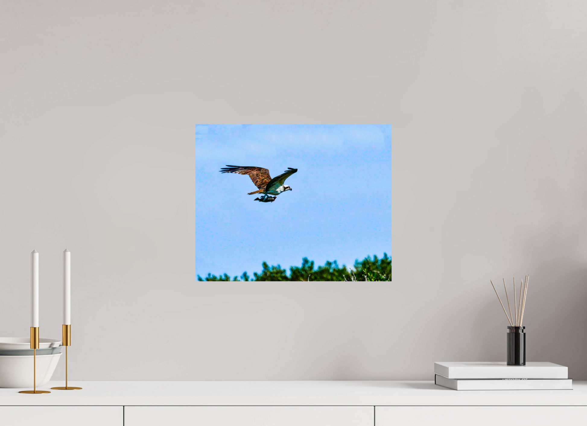 15 x 12″, Photo Print On Fuji Crystal DP II The Carry — Collection 07, Wildlife of the Bay Handle: the-carry